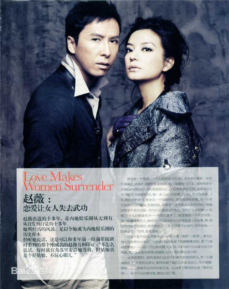 最全赵薇(Vicki Zhao，Zhao Wei)精彩图册