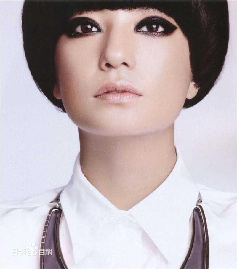 最全赵薇(Vicki Zhao，Zhao Wei)精彩图册