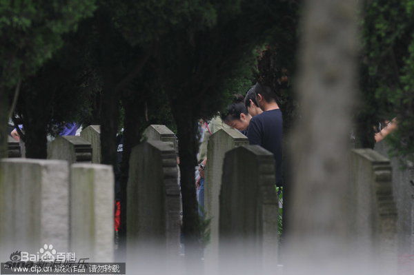 赵薇(Vicki Zhao，Zhao Wei)精彩图册