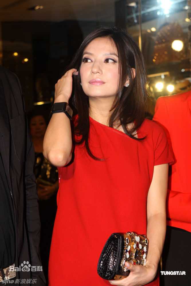 最新赵薇(Vicki Zhao，Zhao Wei)精彩图册
