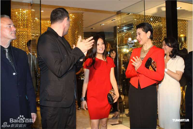 最新赵薇(Vicki Zhao，Zhao Wei)精彩图册