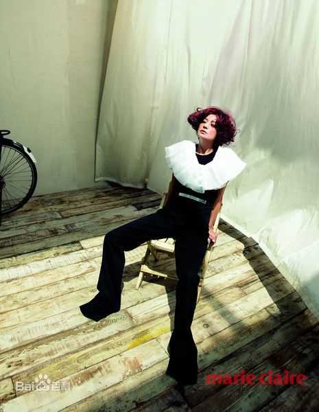 高清赵薇(Vicki Zhao，Zhao Wei)精彩图册