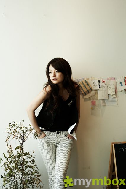 最全赵薇(Vicki Zhao，Zhao Wei)精彩图册