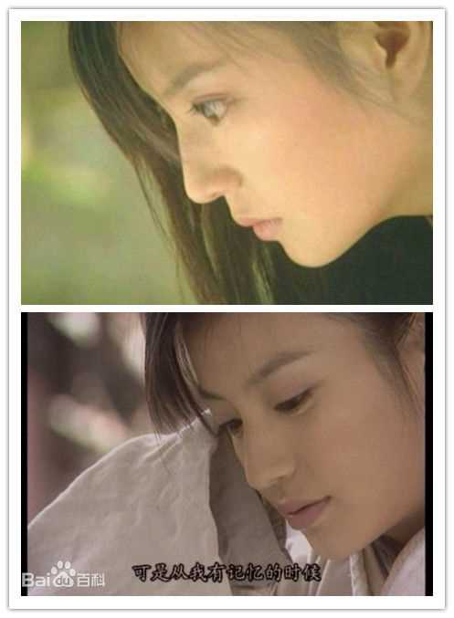 最全赵薇(Vicki Zhao，Zhao Wei)精彩图册