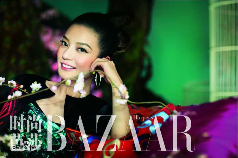 最全赵薇(Vicki Zhao，Zhao Wei)精彩图册