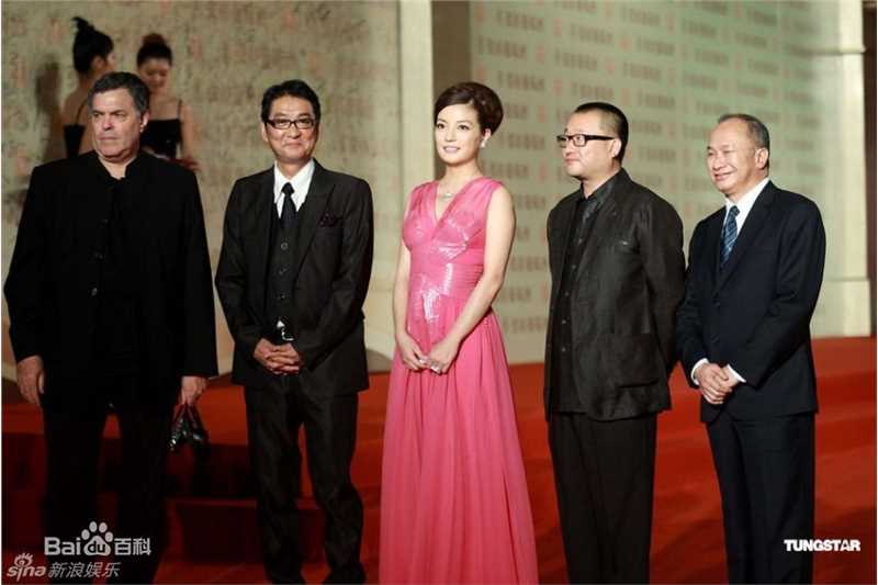 高清赵薇(Vicki Zhao，Zhao Wei)精彩图册