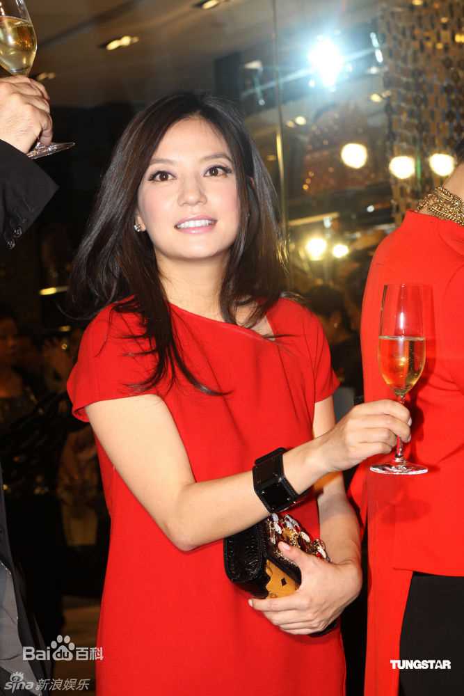 高清赵薇(Vicki Zhao，Zhao Wei)精彩图册