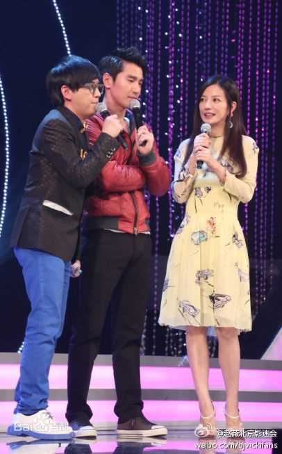 高清赵薇(Vicki Zhao，Zhao Wei)精彩图册