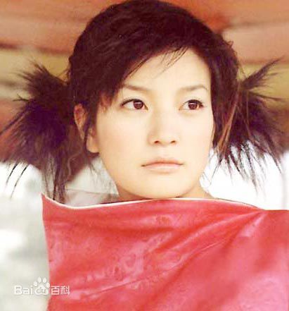 高清赵薇(Vicki Zhao，Zhao Wei)精彩图册