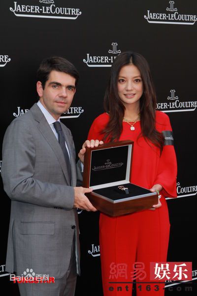 最新赵薇(Vicki Zhao，Zhao Wei)《饭局也疯狂》精彩图册