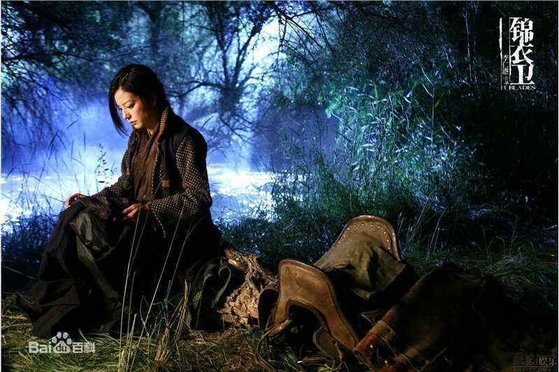 最新赵薇(Vicki Zhao，Zhao Wei)《饭局也疯狂》精彩图册