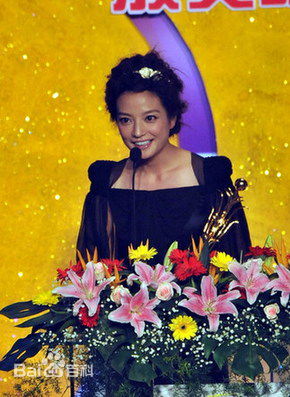 赵薇(Vicki Zhao，Zhao Wei)2009.6.8.第十二届金凤凰奖颁奖典礼图册