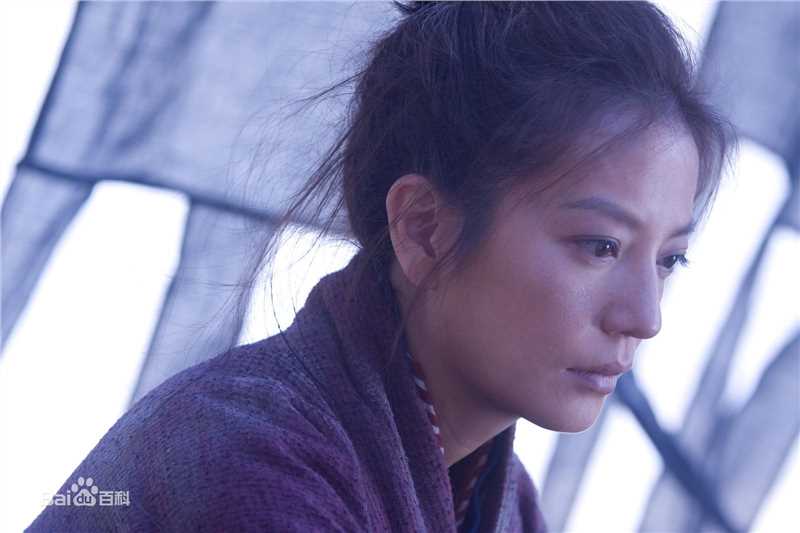 赵薇(Vicki Zhao，Zhao Wei)2009年《花木兰》最全剧照
