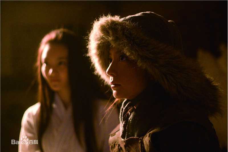 赵薇(Vicki Zhao，Zhao Wei)2009年《花木兰》最全剧照