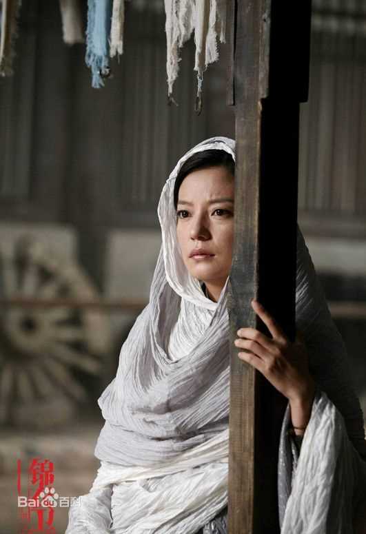 赵薇(Vicki Zhao，Zhao Wei)2010年《锦衣卫》最优质剧照