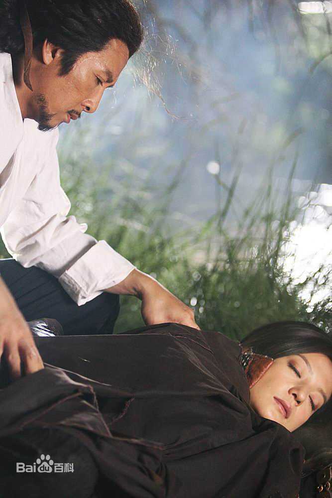 赵薇(Vicki Zhao，Zhao Wei)2010年《锦衣卫》最优质剧照