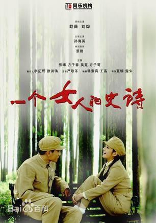 赵薇(Vicki Zhao，Zhao Wei)电视剧精选海报图册