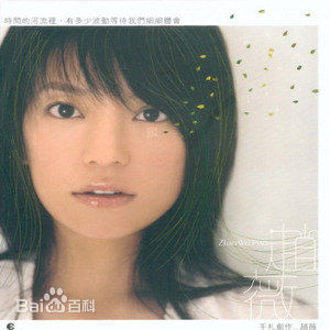 赵薇(Vicki Zhao，Zhao Wei)精选音乐专辑封面图册