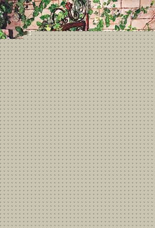 周丽淇(Niki Chow LaiKei)最新婚纱壁纸