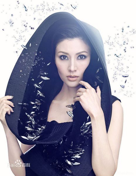 最新李嘉欣(Michele Monique Reis)壁纸