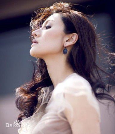 最新李嘉欣(Michele Monique Reis)壁纸