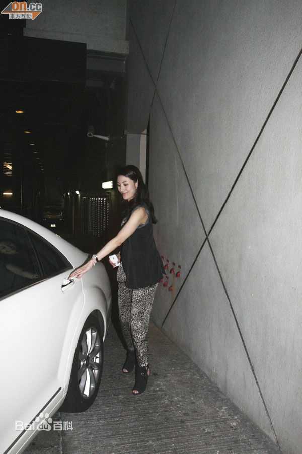 最全李嘉欣(Michele Monique Reis)精彩图册