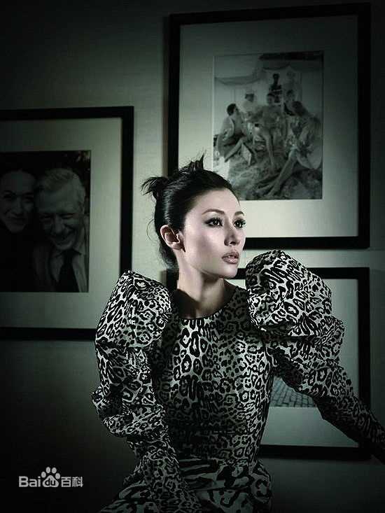 高清李嘉欣(Michele Monique Reis)精彩图册1