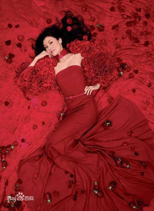 最全李嘉欣(Michele Monique Reis)精彩图册1