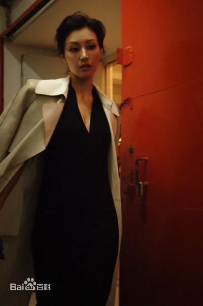 最全李嘉欣(Michele Monique Reis)精彩图册1