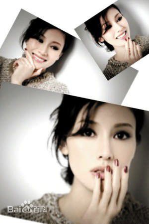 最全李嘉欣(Michele Monique Reis)精彩图册1