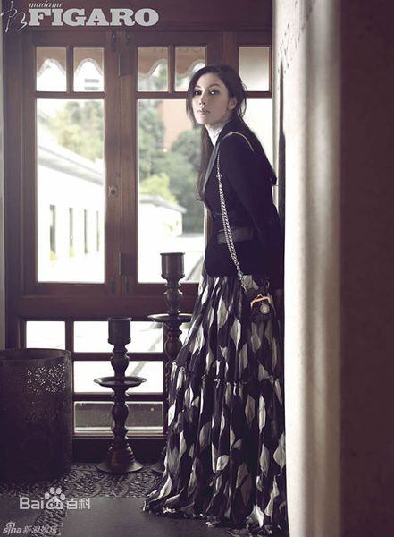 最全李嘉欣(Michele Monique Reis)精彩图册1