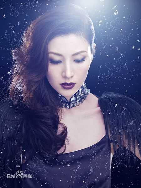 最全李嘉欣(Michele Monique Reis)精彩图册1