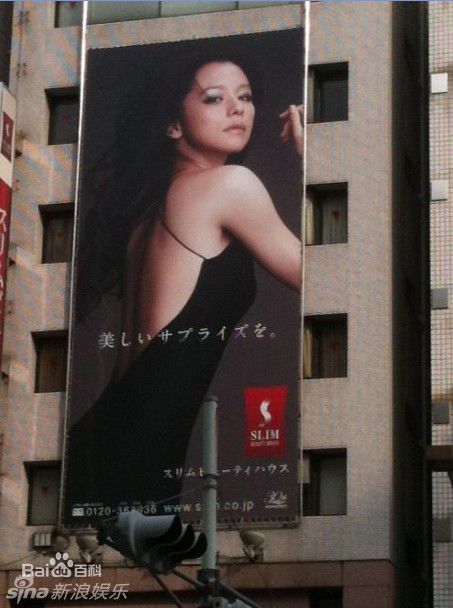 精选徐若瑄(Vivian Hsu、Bidai Syulan、ビビアンスー、)精彩图册