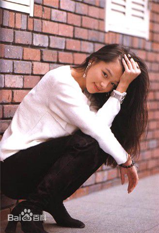 最优质徐若瑄(Vivian Hsu、Bidai Syulan、ビビアンスー、)精彩图册2