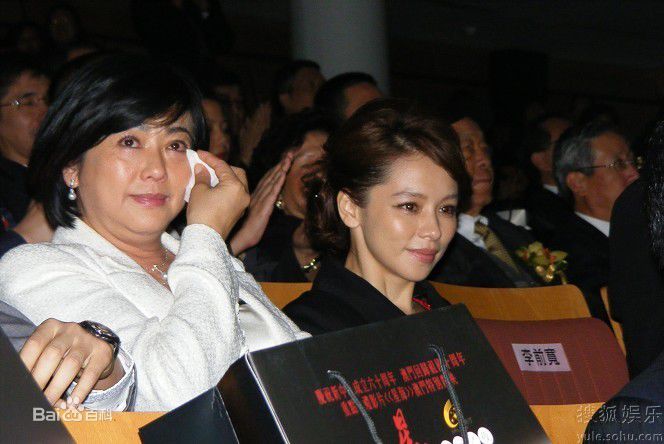 最优质徐若瑄(Vivian Hsu、Bidai Syulan、ビビアンスー、)精彩图册
