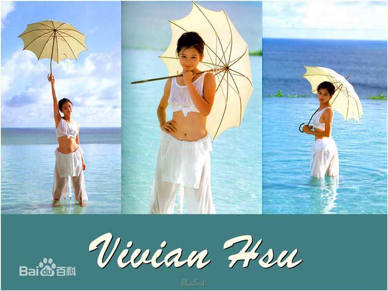 最优质徐若瑄(Vivian Hsu、Bidai Syulan、ビビアンスー、)精彩图册