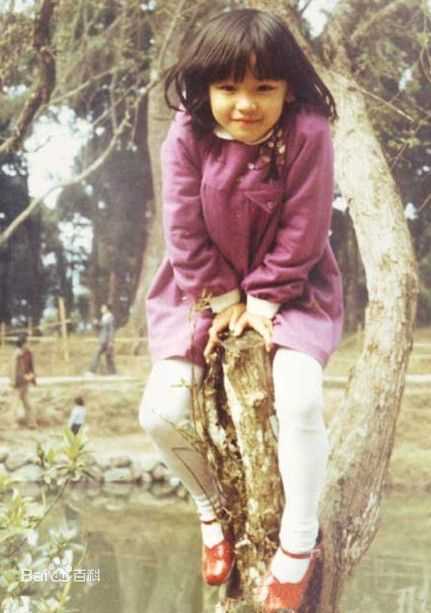 徐若瑄(Vivian Hsu、Bidai Syulan、ビビアンスー、)前后照片