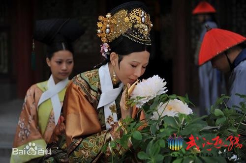 蔡少芬(AdaChoi)甄嬛传饰演皇后图册