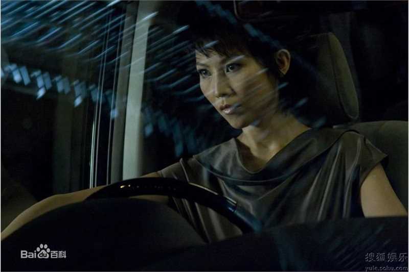 蔡少芬(AdaChoi)精彩图册