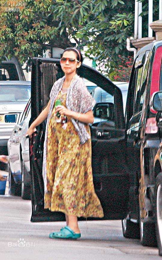 高清蔡少芬(AdaChoi)精彩图册