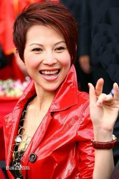 高清蔡少芬(AdaChoi)精彩图册