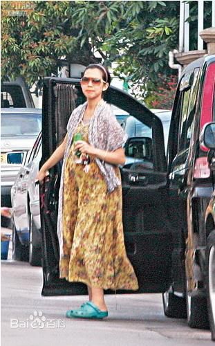 高清蔡少芬(AdaChoi)精彩图册