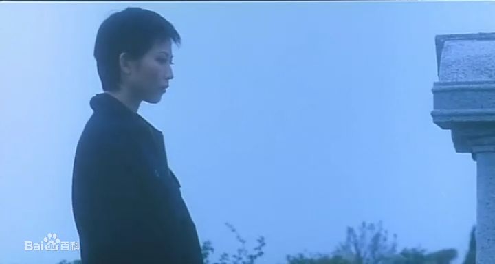 蔡少芬(AdaChoi)1999年电影《还我情心》最全剧照