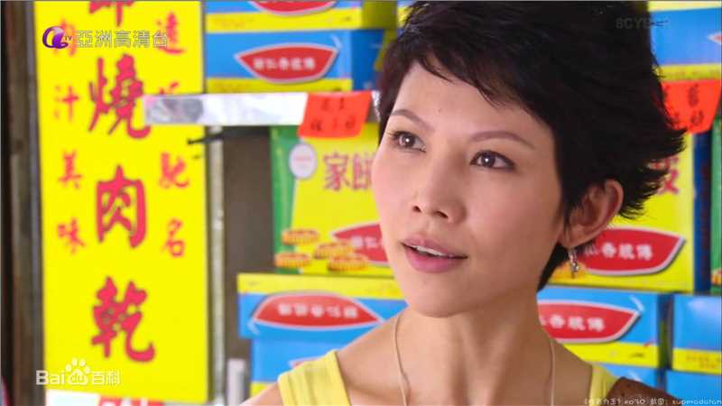 蔡少芬(AdaChoi)2008年《胜者为王IV争霸》剧照