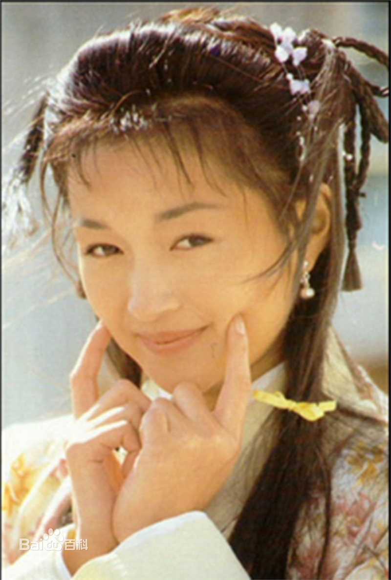 李绮红(Theresa L Solomonson)版郭襄壁纸壁纸