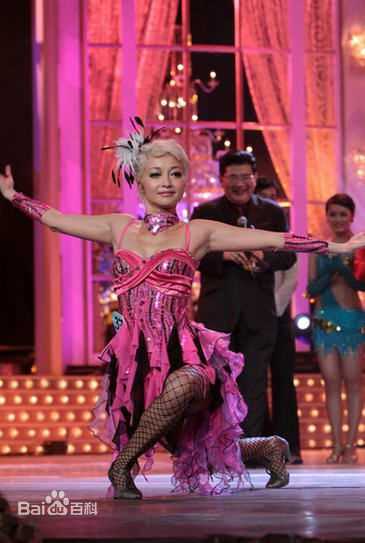 最全李绮红(Theresa L Solomonson)在2011年参加《舞林大会》中的壁纸