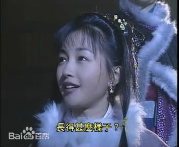 李绮红(Theresa L Solomonson)1995年《神雕侠侣》最全剧照