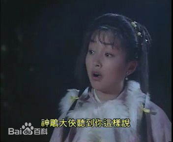 李绮红(Theresa L Solomonson)1995年《神雕侠侣》最全剧照