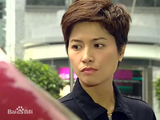 邵美琪(Maggie Siu)妙手仁心剧照