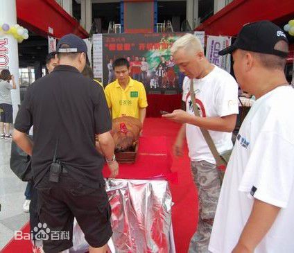 吴孟达(Ng Man Tat)在《假爸爸》开机新闻发布会中的